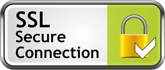 ssl secure connection logo